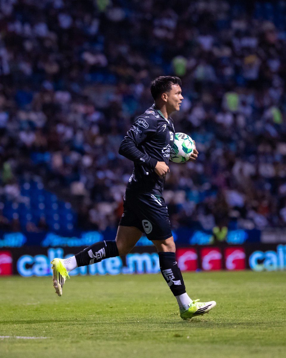 Gallos Blancos 🐓 tweet media