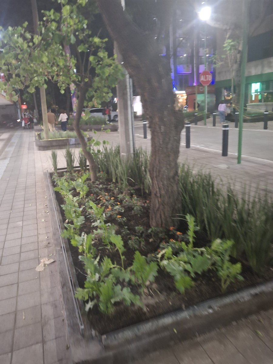 Yovan Gomury tweet media