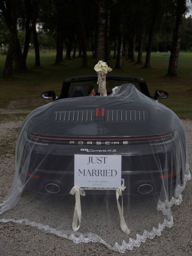 Beauty ✨ tweet media