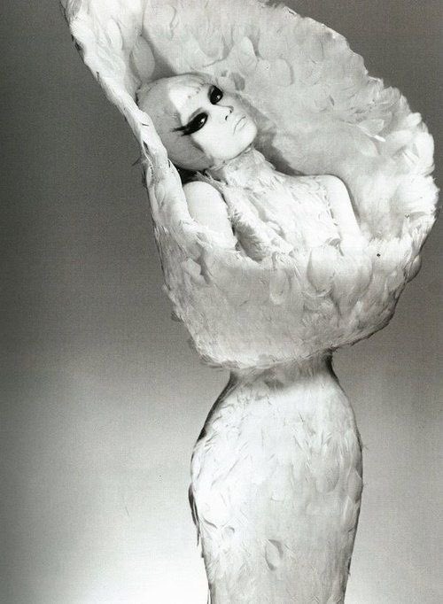 PinkRunwayDiary tweet media