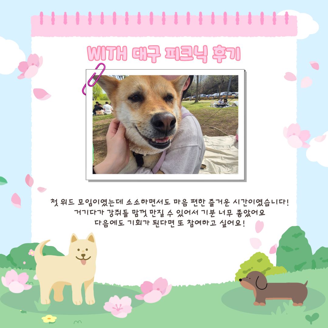 비영리단체 비혼여성공동체 WITH tweet media