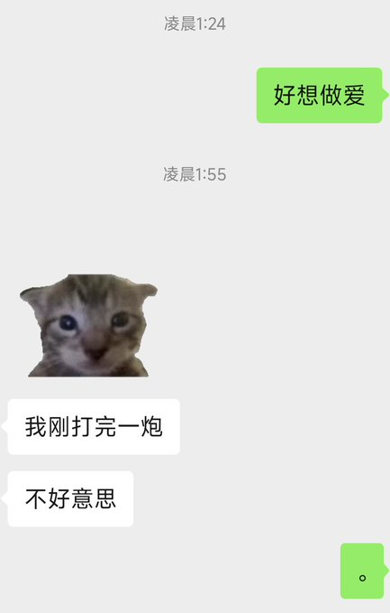 豹子女士 tweet media