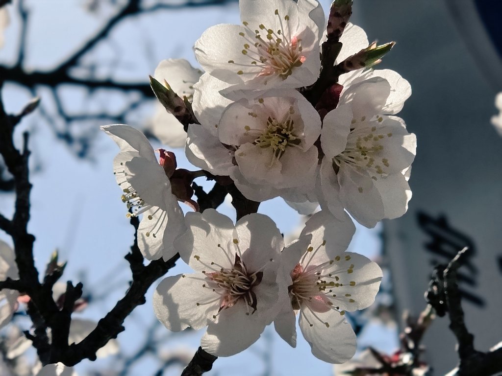 ごみまる🔰 tweet media