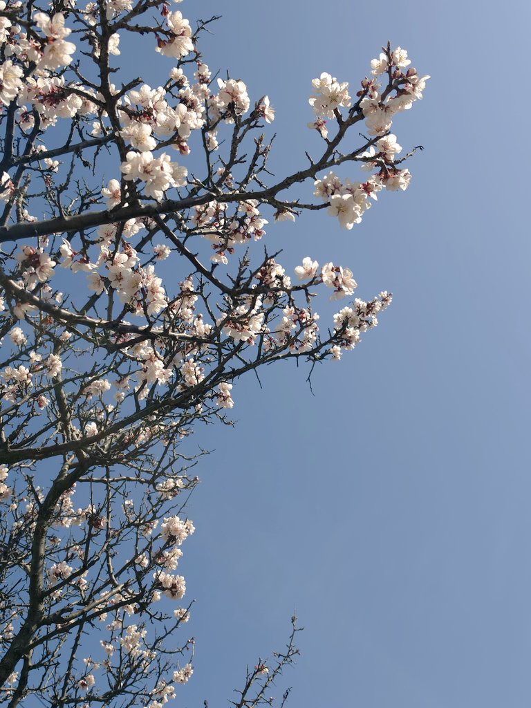 ごみまる🔰 tweet media