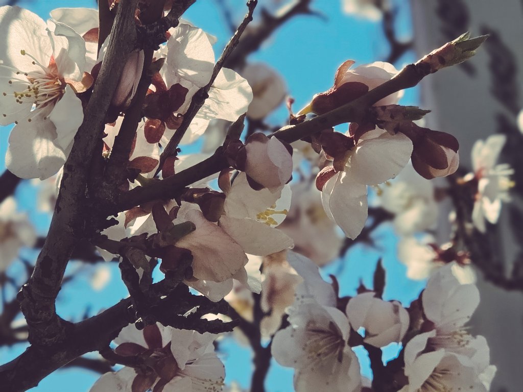 ごみまる🔰 tweet media