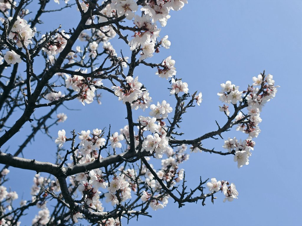 ごみまる🔰 tweet media