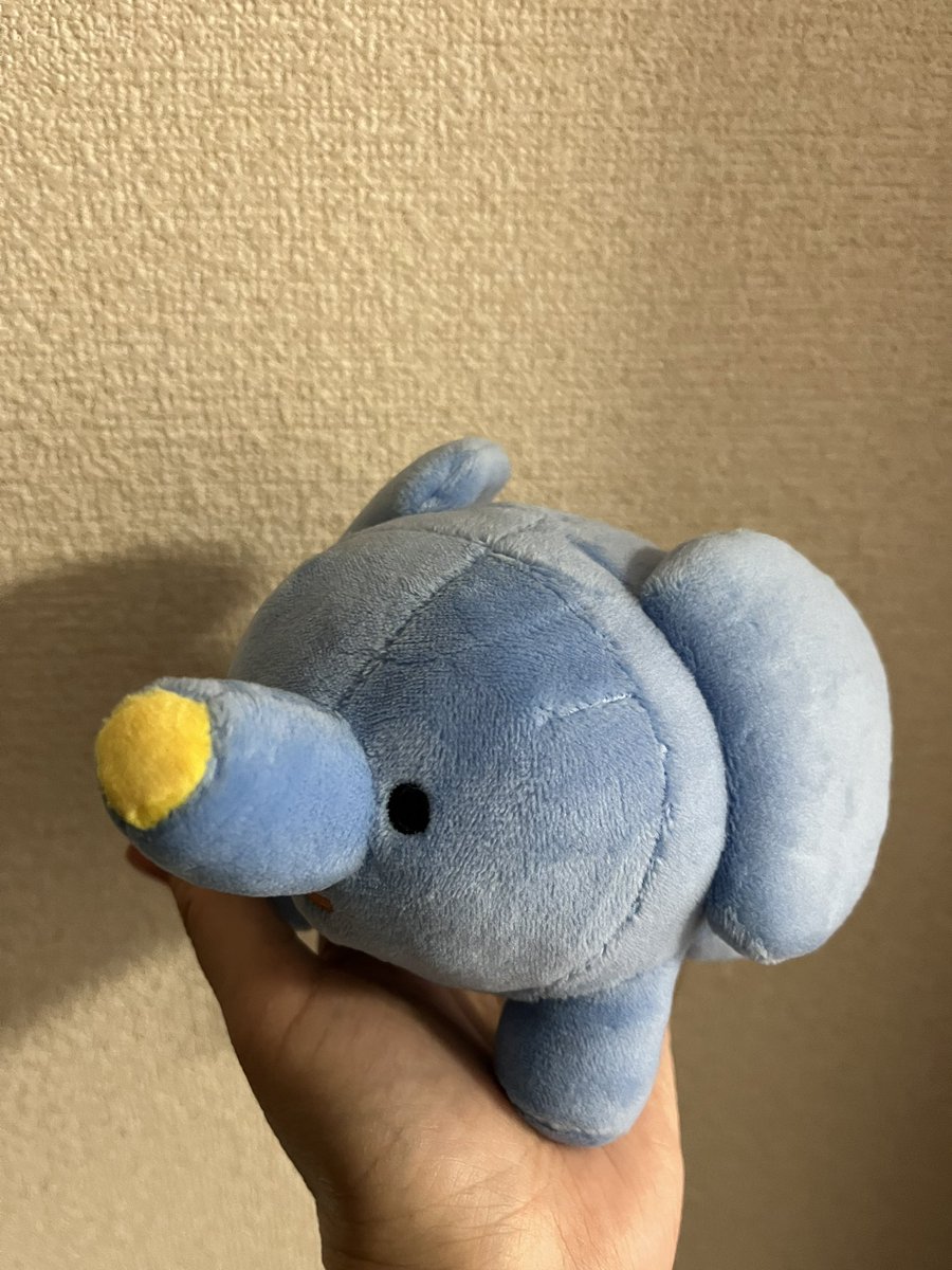 みりゅう🐬🐰 tweet media