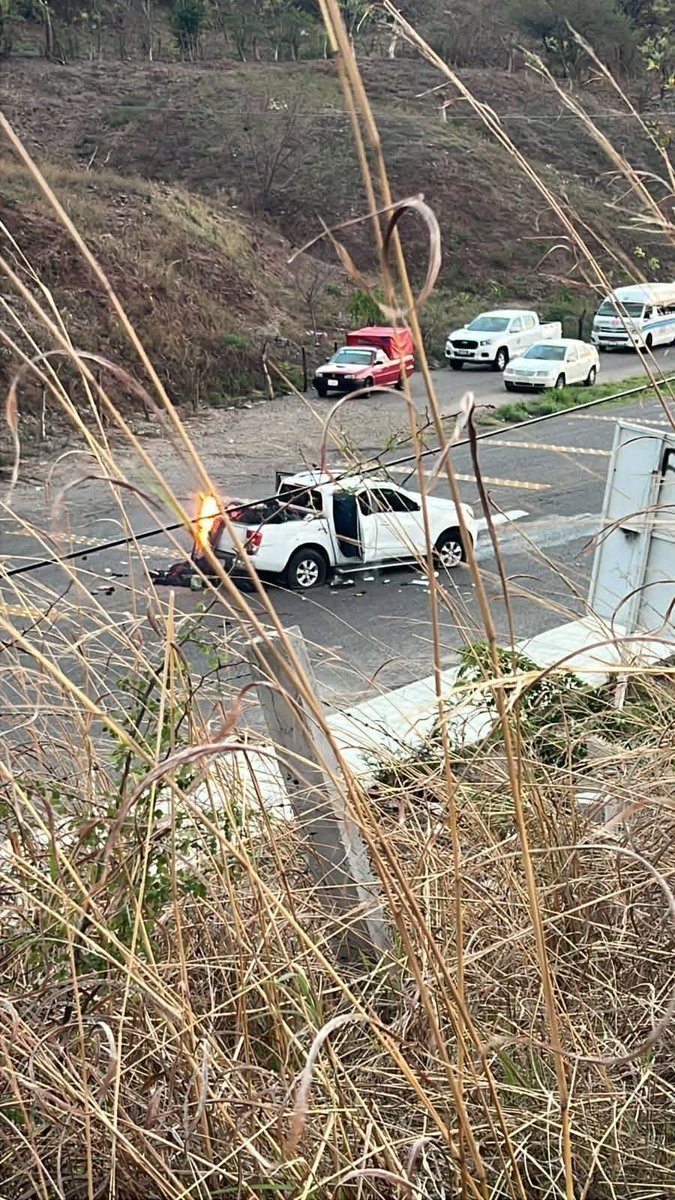 ᴄʀɪᴍᴇ sᴜʙᴄᴜʟᴛᴜʀᴇs tweet media