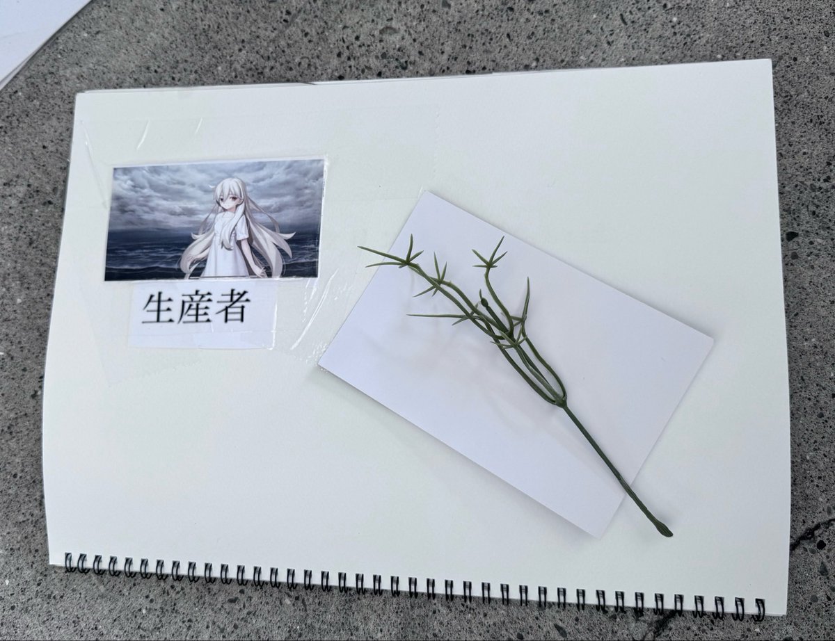 パクトリ tweet media