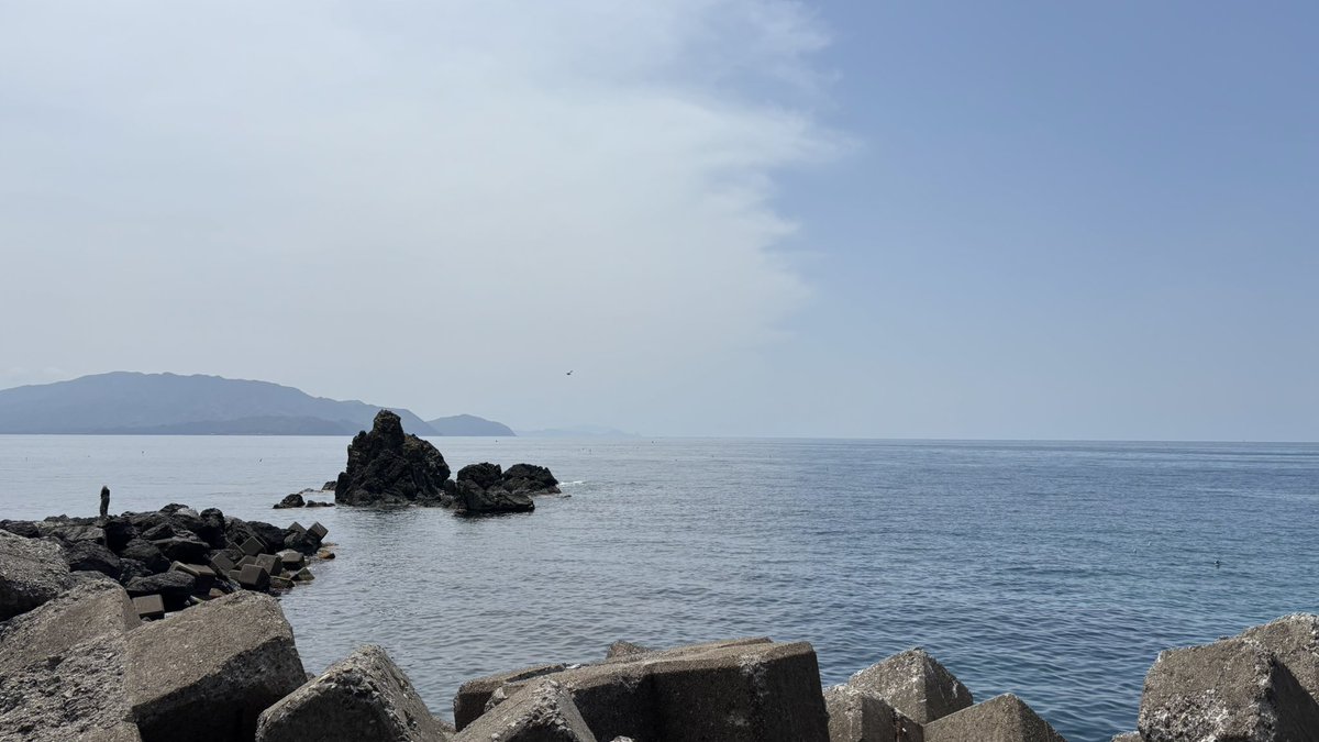 しゃけまん tweet media