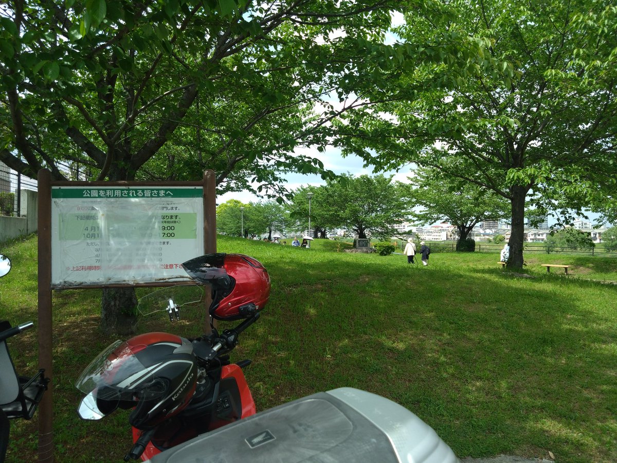 ふな!! tweet media