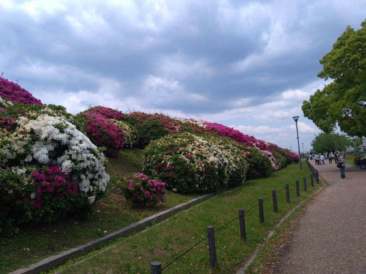 ふな!! tweet media