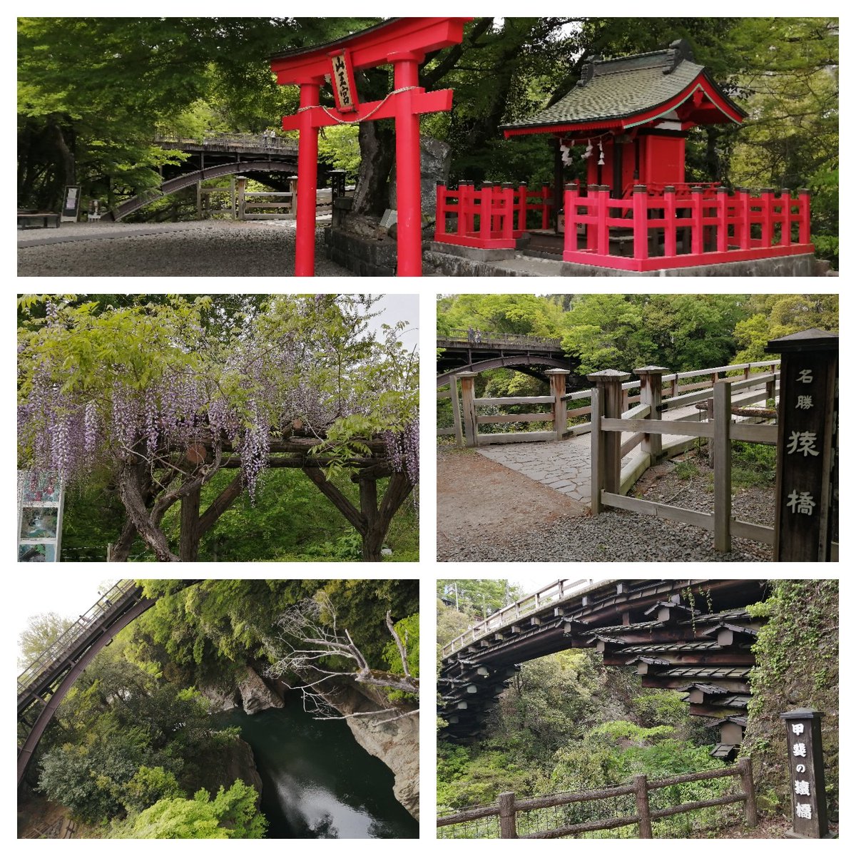m_ssh1005's tweet photo. 山梨県猿橋へ行ってきましたぁ✨😊形がユニークな橋は橋脚を使わず、瓦屋根のような4層のはね木によって橋を支えています👍
#山梨県
#猿橋 https://t.co/r32JW6FfXq