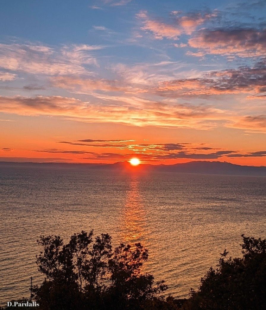 𝓓.𝓟-𝓟𝓱𝓸𝓽𝓸𝓰𝓻𝓪𝓹𝓱𝔂 tweet media