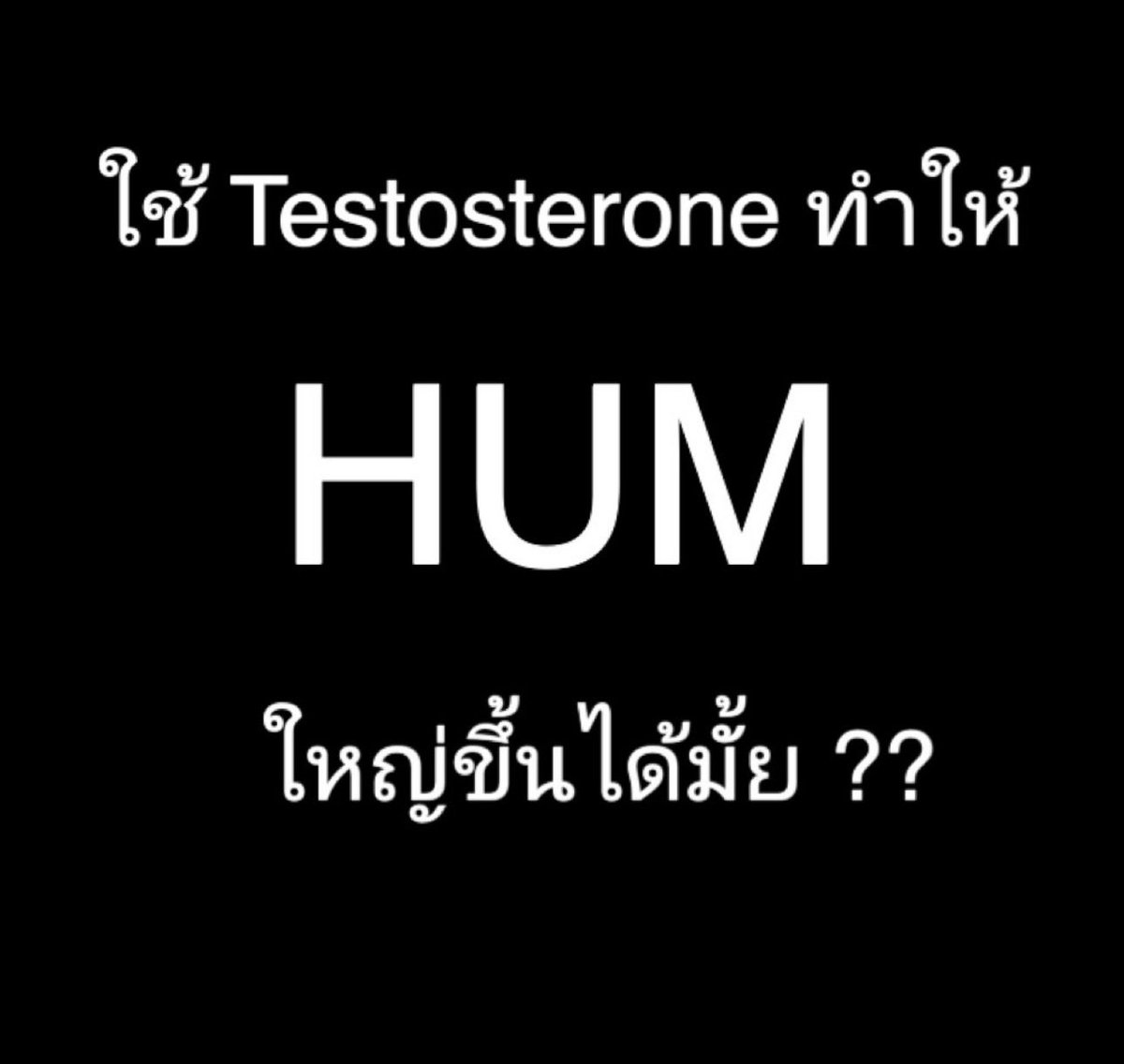 karnphysique's tweet photo. Testosterone และ AAS เพิ่มขนาดอวัยวะเพศชายได้ไหม?

ตามหลักฐานทางวิทยาศาสตร์ การใช้ testosterone หรือ AAS ในผู้ชายวัยผู้ใหญ่ไม่ได้เพิ่มขนาดอวัยวะเพศในเชิงกายวิภาค ช่วงเวลาที่ฮอร์โมนมีผลต่อการเจริญเติบโตได้คือช่วง puberty (วัยที่เด็กเปลี่ยนเข้าสู่วัยผู้ใหญ่) เมื่อผ่านช่วงนี้ไปแล้ว แม้จะได้รับ testosterone เพิ่มเท่าไหร่ ขนาดจริงของอวัยวะเพศก็ไม่เปลี่ยน

อย่างไรก็ตาม มันจะมีผลทางอ้อมที่ทำให้รู้สึกว่าดูใหญ่ขึ้นได้ เช่น การไหลเวียนเลือดที่ดีขึ้น การตอบสนองของเนื้อเยื่อ การลดไขมันหน้าท้องครับ

อวัยวะเพศชายเจริญเติบโตได้เพราะ testosterone ไปจับกับตัวรับ androgen receptor (AR) บนเนื้อเยื่อ พอจับกันแล้วจะส่งสัญญาณให้เซลล์แบ่งตัวและเนื้อเยื่อขยาย (มีการเก็บข้อมูลในผู้ใช้ AAS และทดลองในสัตว์ทดลอง)
ในช่วง puberty androgen receptor มีจำนวนมากและไวต่อ testosterone สูงมาก เนื้อเยื่อจึงเติบโตได้รวดเร็ว แต่พ้นช่วงนี้ androgen receptor จะ down-regulate คือลดจำนวนลงและไวน้อยลง เนื้อเยื่อเปลี่ยนเป็นการรักษาสภาพแทน

ทำไมบางคนรู้สึกว่าดูใหญ่ขึ้นหลังใช้ AAS ล่ะ ?
แม้ขนาดจริงไม่เปลี่ยน แต่ testosterone สนับสนุน function ทำให้ดูเป็นแบบนั้นได้ครับ

1. เลือดสูบฉีดดีขึ้น
Testosterone ช่วยให้เลือดเข้าไปคั่งใน corpus (เนื้อเยื่อฟองน้ำ) ได้เต็มที่มากขึ้น
ทำให้ตอนแข็งตัว ขนาดจะสูงสุดที่ร่างกายทำได้ ความแข็งดีขึ้น ดูอวบและใหญ่กว่าตอนที่ฮอร์โมนต่ำ

2. Androgen receptor ยังทำงานในแง่ maintenance
แม้ receptor จะไม่สั่งให้โตแล้วแต่ยังทำหน้าที่รักษาโครงสร้างของเนิ้อเยื่อต่างๆ เช่นพวก smooth muscle, corpus cavernosum , tunica albuginea ได้
ในคนที่เคยมี testosterone ต่ำเรื้อรัง เนื้อเยื่อจะเสื่อมลงจริง พอได้ TRT โครงสร้างฟื้นกลับมา erect size กลับสู่เดิม แต่ไม่เกินจุดสูงสุดที่มันจะให้จาก pathway นี้ได้
ถ้าคนที่อายุเยอะๆ 50-60+ หรือคนที่ test ต่ำ ก่อนจะเริ่ม แล้วโดน TRT ไปจะเห็นชัดมากๆครับ

3. Libido และความถี่ในการแข็งตัว
Testosterone เพิ่ม libido ได้ทำให้แข็งตัวบ่อยขึ้น เนื้อเยื่อได้รับการ pump เลือดสม่ำเสมอ ทำให้รักษาสุขภาพของ erectile tissue ซึ่งแปลว่า hum ซิ่งบ่อยขึ่น = รักษาสภาพได้มากขึ้น

4. ไขมันหน้าท้องลด = Hum โผล่มากขึ้น
อันนี้เป็นผลที่ชัดเจนที่สุดแล้วสำหรับคนที่ใช้ AAS 
   เหนือโคน hum จะมี fat pad ถ้าอ้วน ไขมันตรงนี้จะกลบความยาวของน้องชาย
ทุก 1 CM ของไขมันที่ลดลง = ความยาวที่มองเห็นเพิ่มขึ้น 1 CM

คนใช้ AAS ทำให้ body composition เปลี่ยน ไขมันลด กล้ามขึ้น fat pad บางลงอวัยวะเพศจะดูยาวขึ้นทันที

สรุปคือ Testosterone และ AAS ไม่เพิ่มขนาดอวัยวะเพศในผู้ชายวัยผู้ใหญ่ แต่จะทำให้รู้สึกโตขึ้นได้ผ่านกลไกอื่นๆแทน ได้แก่ เลือดไหลเวียนดีขึ้นทำให้แข็งตัวเต็มที่ , เนื้อเยื่อได้รับการ maintenance ดีขึ้น, libido สูงขึ้นทำให้แข็งบ่อยและรักษาสุขภาพเนื้อเยื่อ และที่ชัดสุดคือพอไขมันหน้าท้องลด ทำให้ fat pad บางลง น้องชายจึงโผล่ออกมามองเห็นยาวขึ้นได้นั่นเอง

*การใช้ AAS และ testosterone ไม่ได้มีแต่ข้อดี และทำให้ hum ดีขึ้น มันจะดีขึ้นได้จริงๆก็ต่อเมื่อเรารักษาสมดุลฮอร์โมนตัวอื่นๆได้ด้วย การเลือกใช้ AAS ในแต่ละบุคคลจึงสำคัญ มันถึงจะดีได้เต็มศักยภาพครับ

แอดกานต์ ขอบคุณครับ
#ฟิตเนส #กล้าม #AAS #ออกกำลังกาย #ไอเทมลดไขมัน #ไอเทมเพิ่มกล้ามเนื้อ