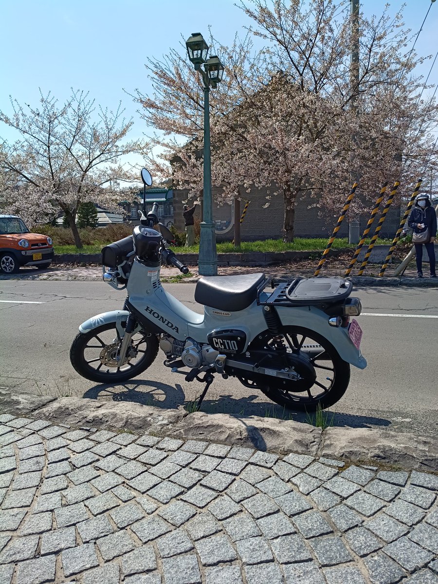 フミアニィPCX＆400X(￣^￣)ゞ tweet media