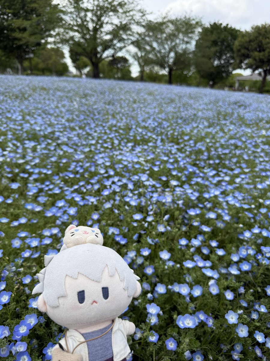 アイル tweet media