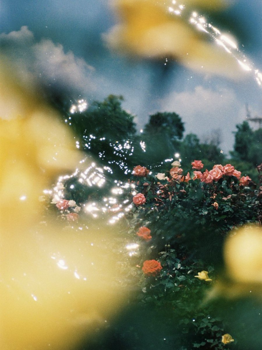 Lula Japan ルラ ジャパン tweet media