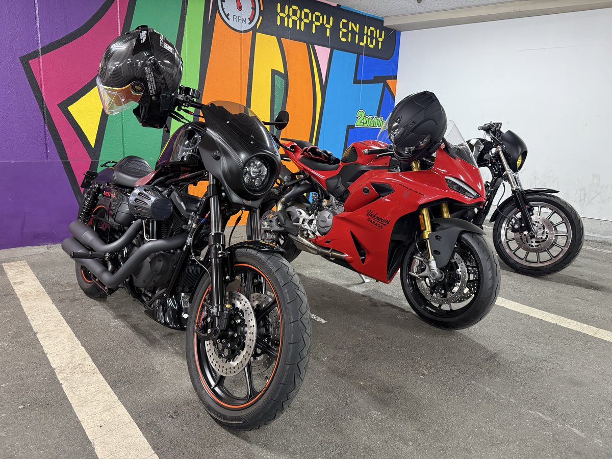 どやどんぐりだった者。 tweet media