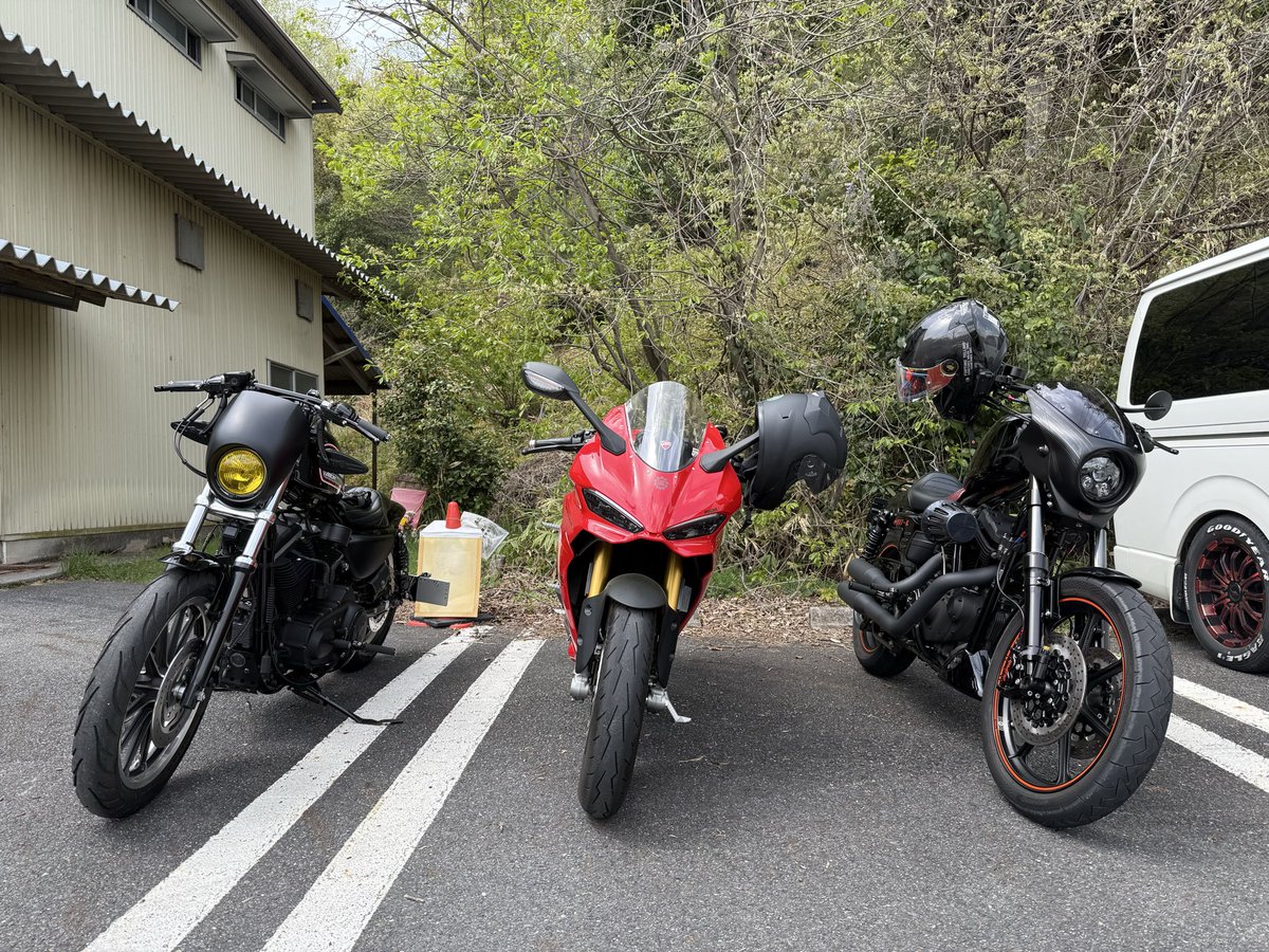 どやどんぐりだった者。 tweet media