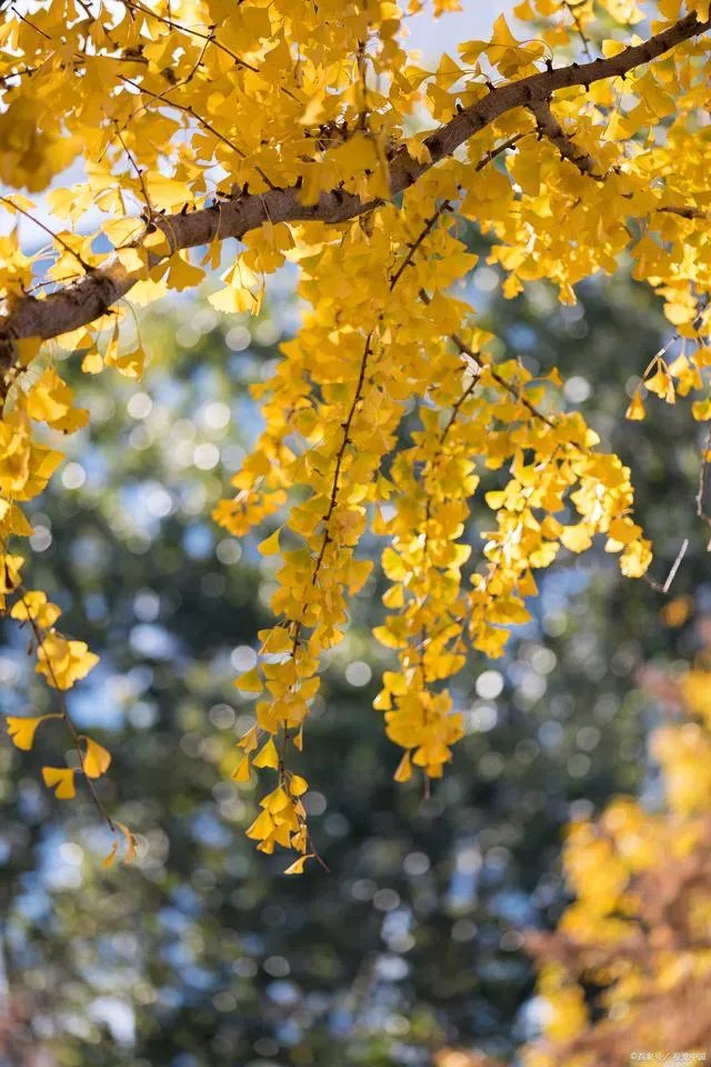 ridacheriet tweet media