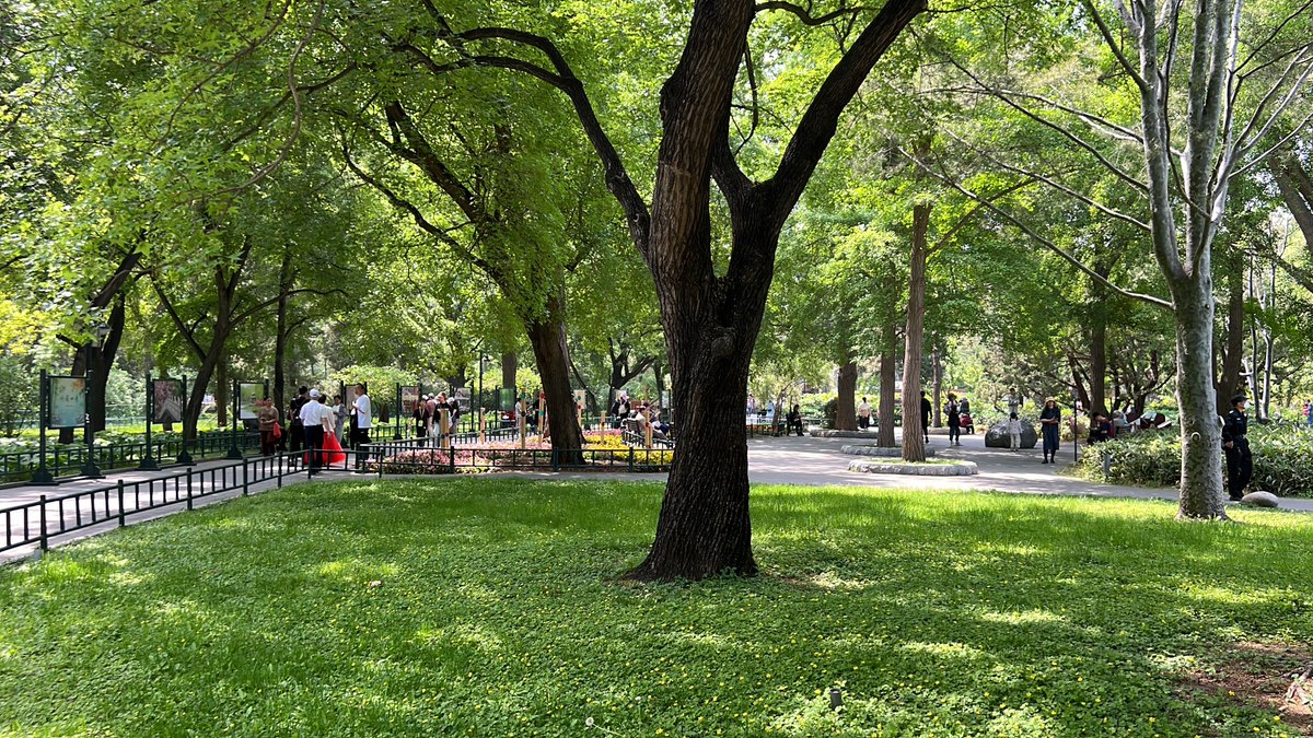 梦游者 tweet media