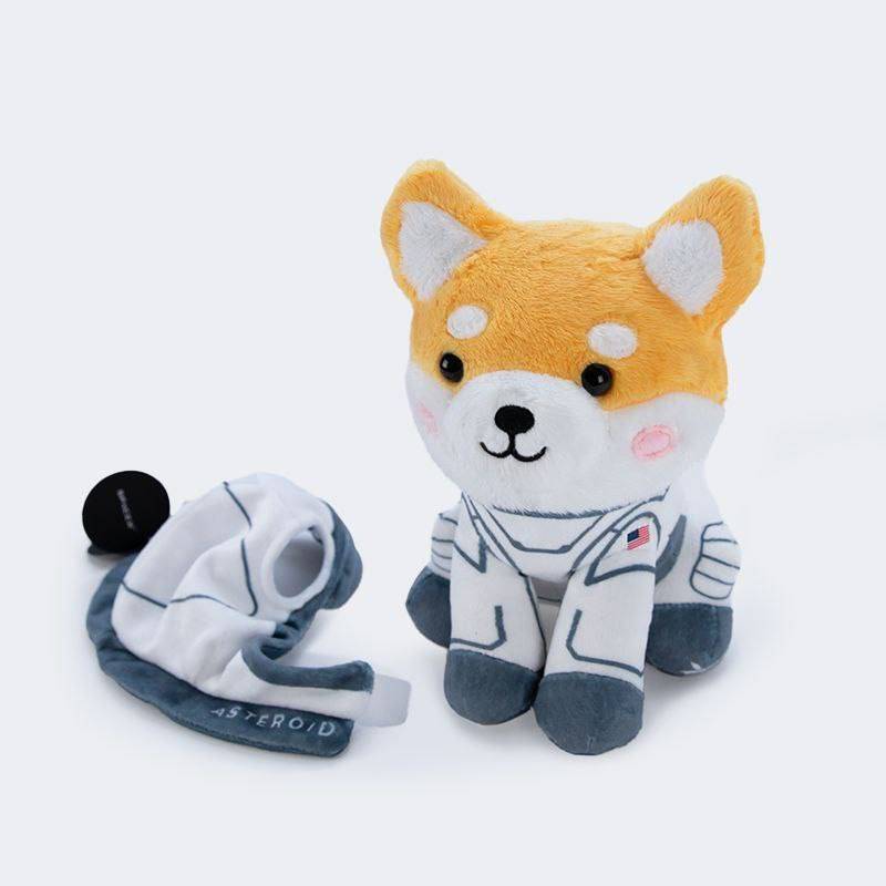 Asteroid Shiba 粉絲 tweet media