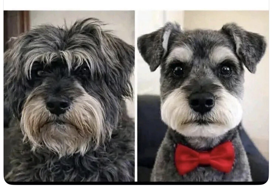 MiOtroYo® Oficial tweet media