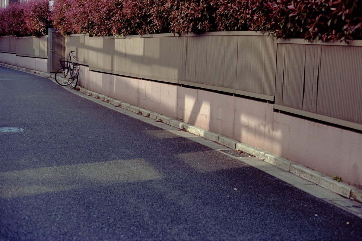 nagiko726's tweet image. 毎年同じことを思うけれど、桜の季節、本当にあっという間だったなあ

#filmphotography