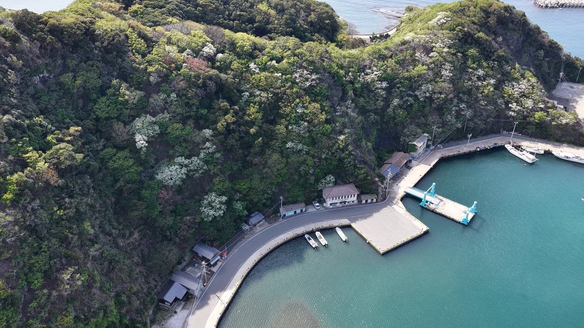 NPO法人ツシマヤマネコを守る会 tweet media