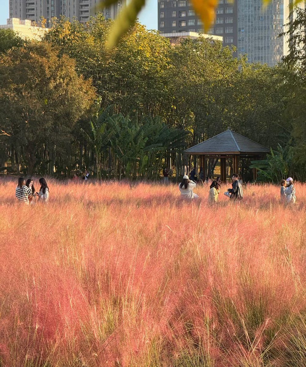 Xhoana Rabija tweet media