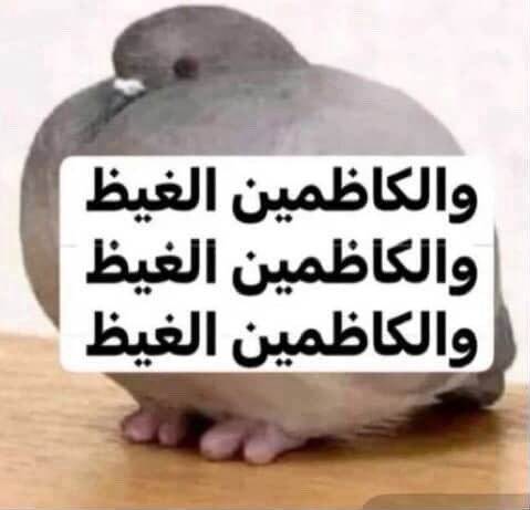 Jana tweet media