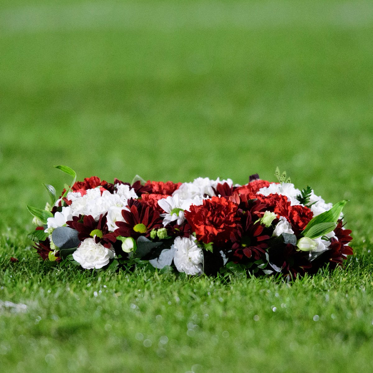 Lincoln City FC 🇺🇦 tweet media