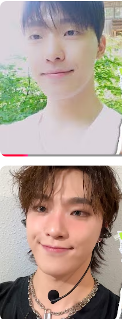 요거 두개 딘담곰표정하고있어서 개귀여움