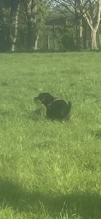 Manfuego tweet media