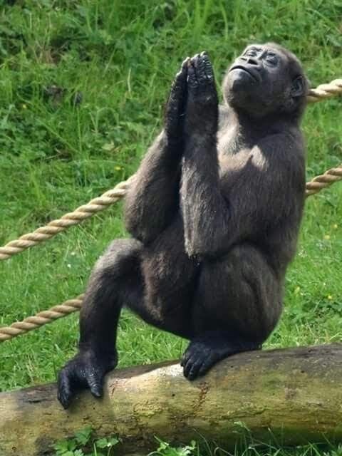 Big Matty tweet media