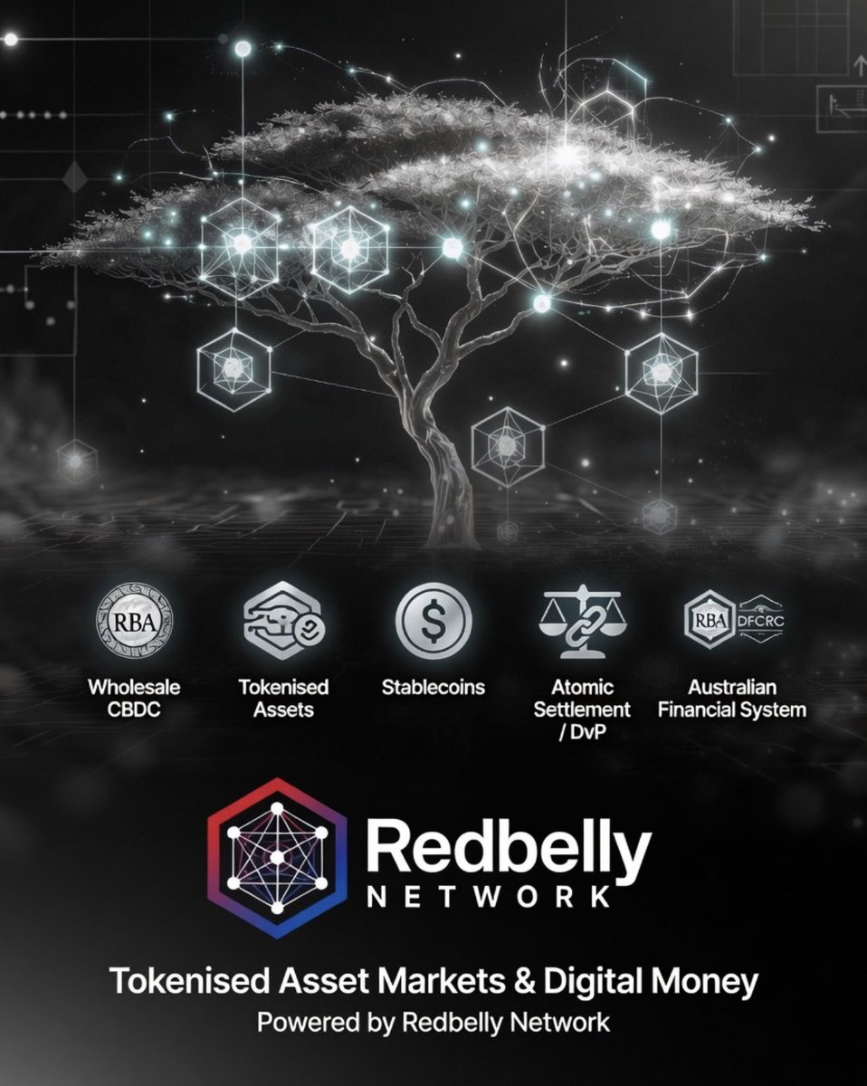Redbelly_1975's tweet image. #RedbellyNetwork led the way in Project Acacia. 

They got selected for FOUR pilots — the highest of any platform — and became the only public blockchain in the world to natively run pilot wholesale #CBDC in a live, regulated RBA environment.

This is real execution:

1️⃣