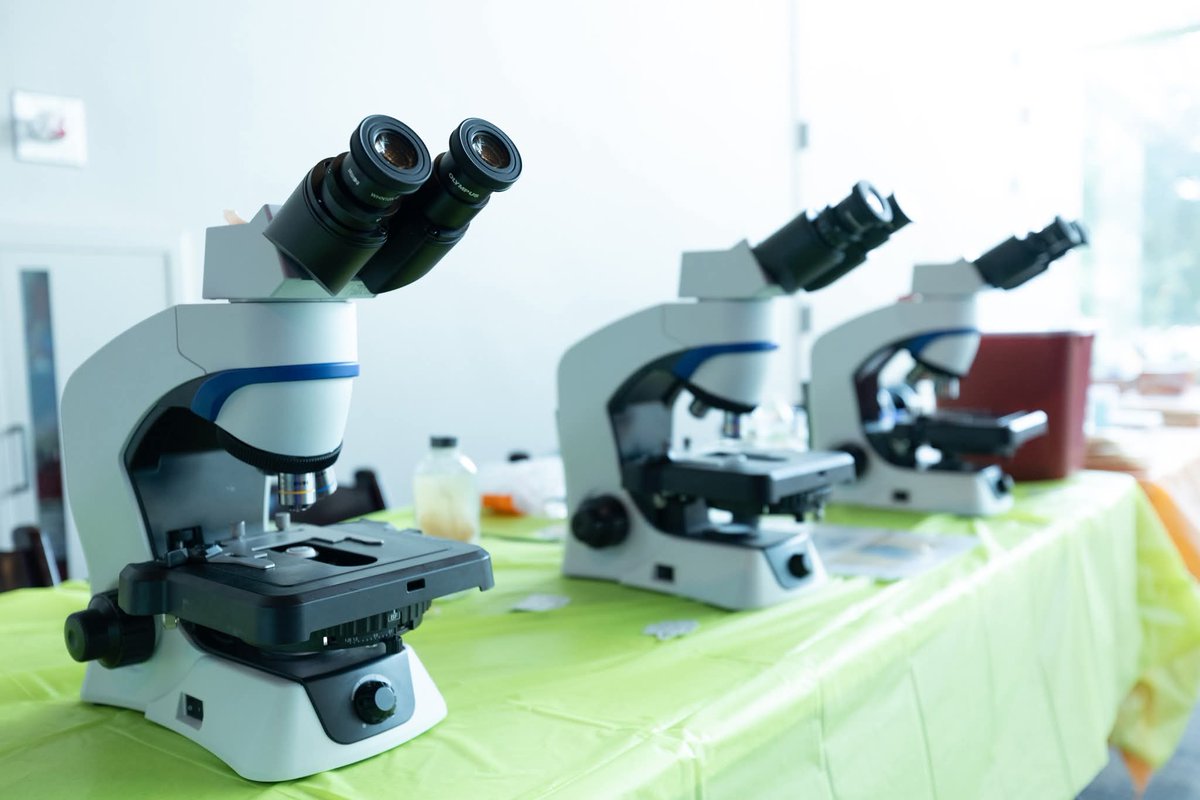 Viva Science SA tweet media