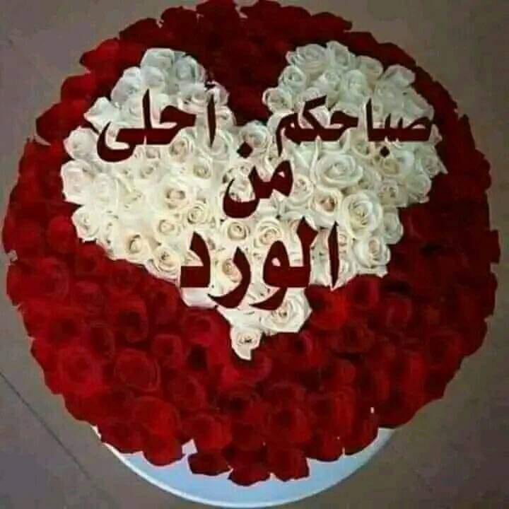 ♕زهرةالربيع♕ tweet media