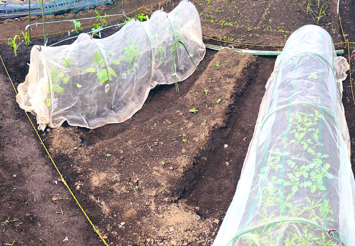 藤井俊郎あるいは古今 tweet media