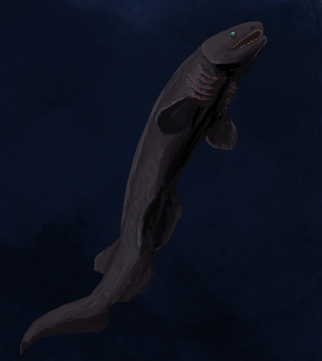 살아있던 화석 tweet media