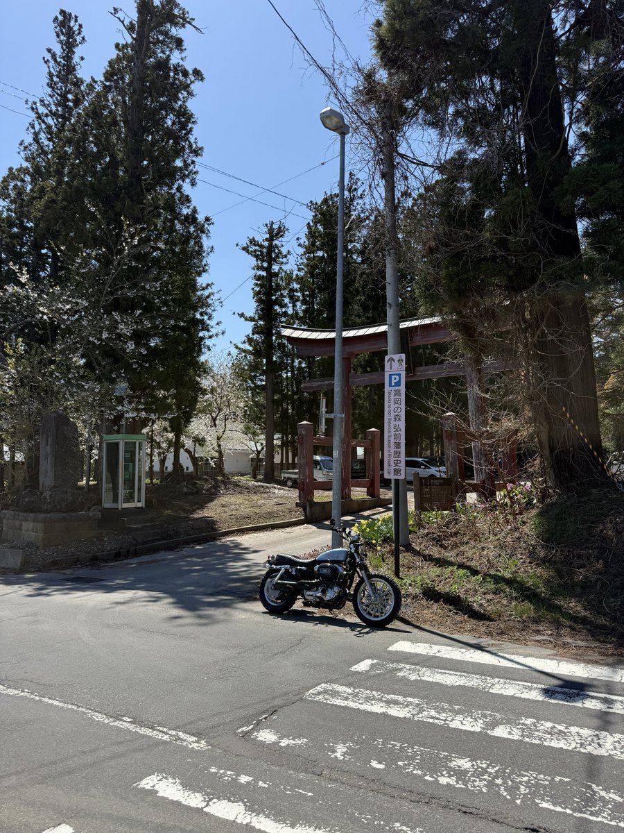 しーばっぐ@320D & 883 tweet media