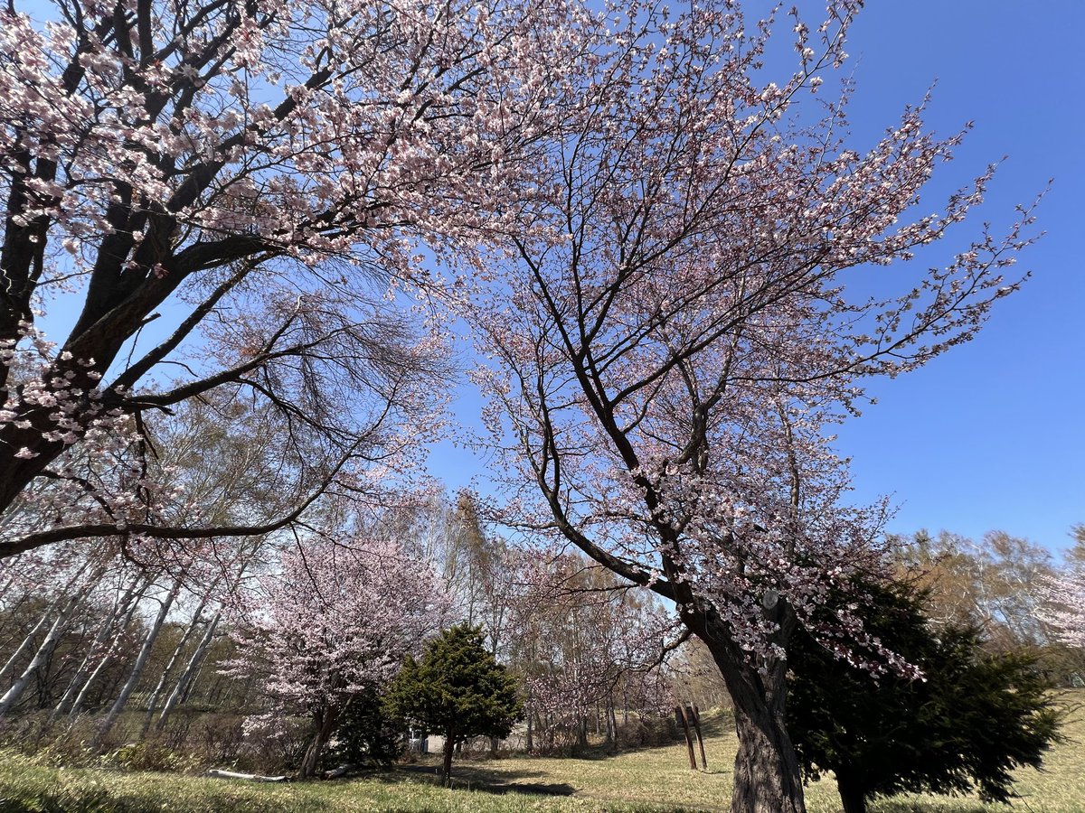 ((( J )))るん tweet media