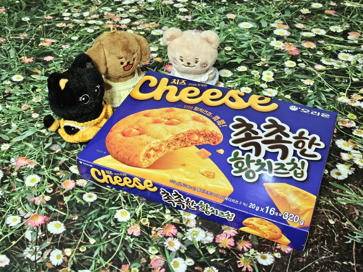 떼굴희 tweet media