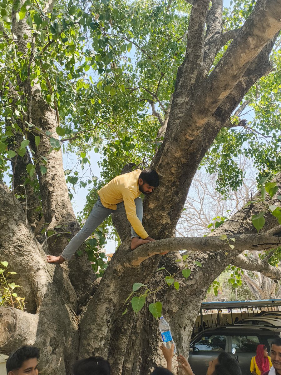 अखिल भारतीय विद्यार्थी परिषद्,भभुआ द्वारा स्टूडेंट फॉर डेवलपमेंट द्वारा पक्षी मित्र अभियान अंतर्गत सरदार वल्लभभाई पटेल महाविद्यालय में बढ़ती गर्मी प्रभाव को देखते हुए पेड़ों पर पानी की व्यवस्था की गई।
#ABVPForSociety