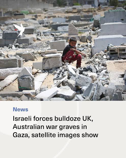 Free Palestine Melbourne tweet media