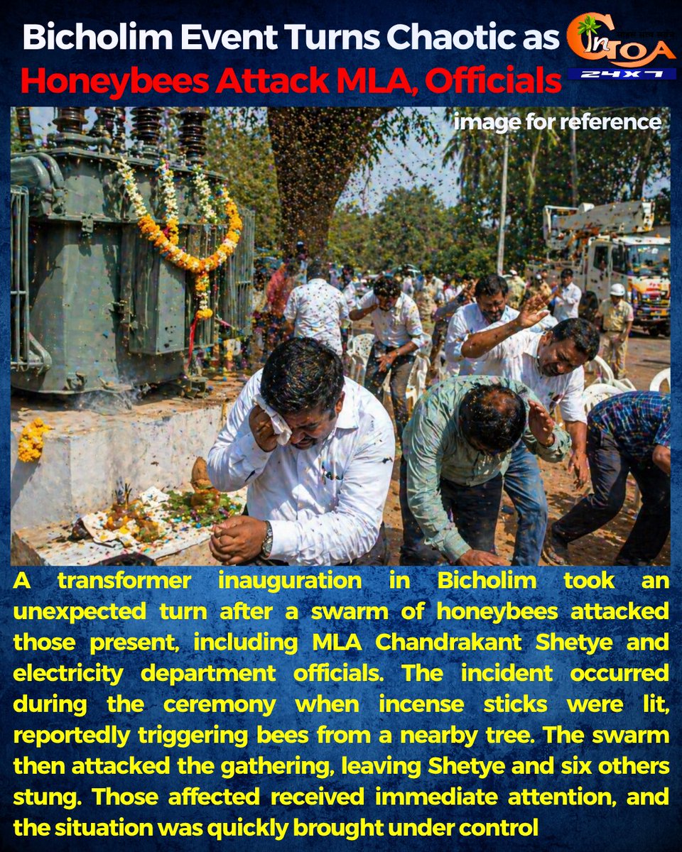 InGoa24x7's tweet image. Bicholim Event Turns Chaotic as Honeybees Attack MLA, Officials

#Goa #GoaNews #Chaotic #Honeybee #Attack