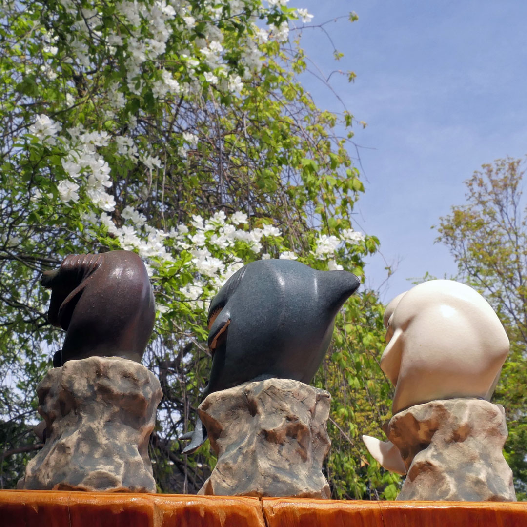 ceramimic2021's tweet image. 考えシリーズ勢揃い🤔
#サメ #shark #考える人