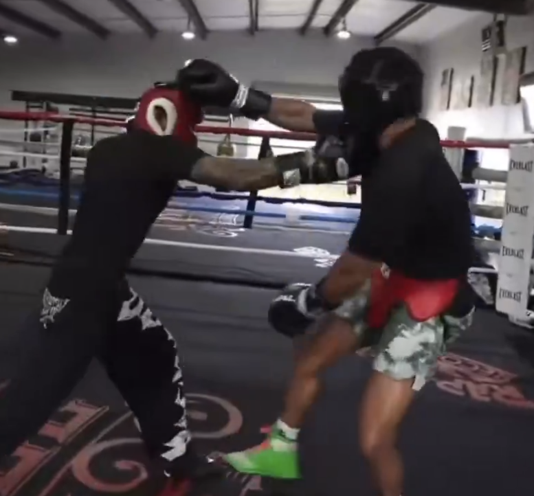 DoubleFeuille tweet media