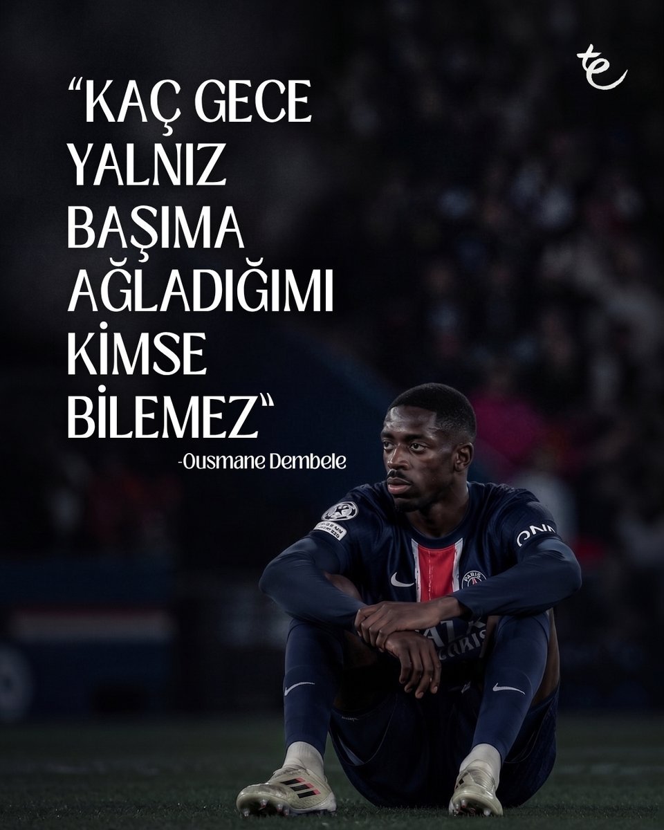 Stanzche tweet media